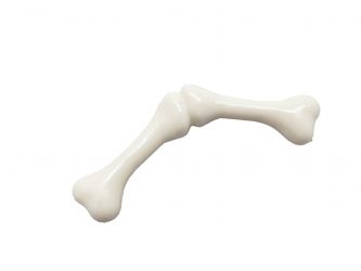 Knochen Skelett Knochen Skelett