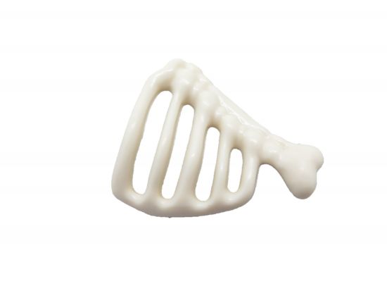 Knochen Skelett Knochen Skelett