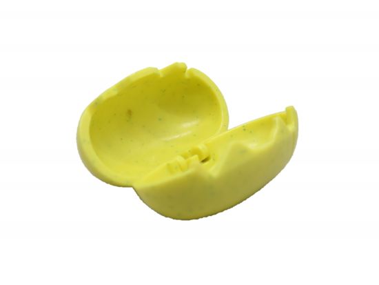 Ei Dinosauruer Ei Dinosauruer