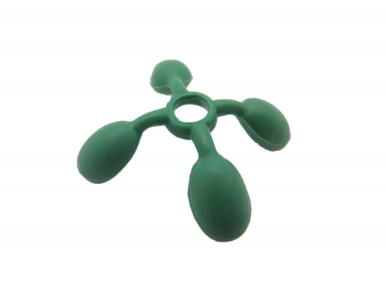 Kokosnuss Palme Kokosnuss Palme