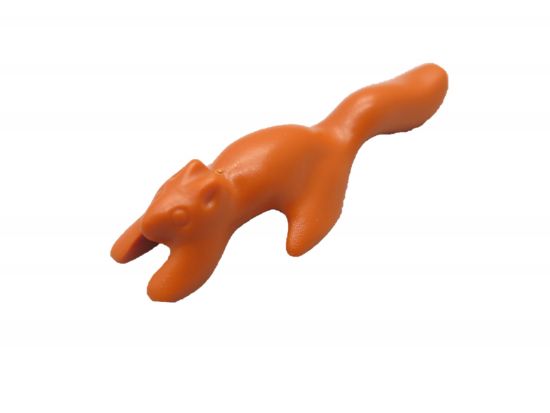 Eichhörnchen Eichhörnchen