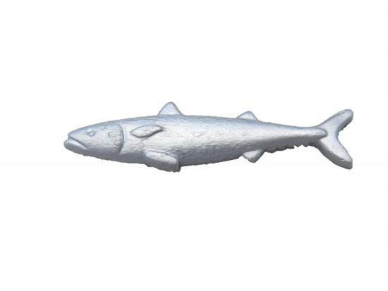 Fisch Makrele Fisch Makrele