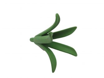 Agave Mittelteil Agave Mittelteil