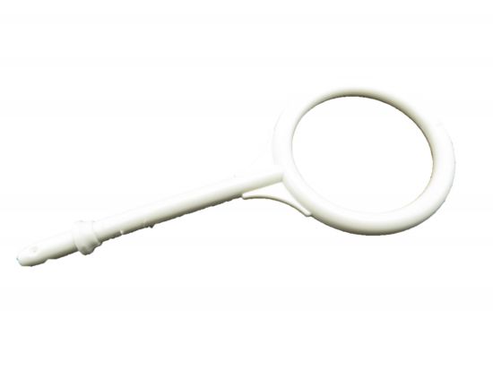 Ring Dreh Orgel Papagei Ring Dreh Orgel Papagei