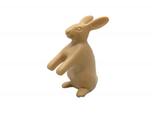 Hase stehend Hase stehend