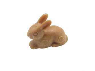 Hase Junges liegend Hase Junges liegend