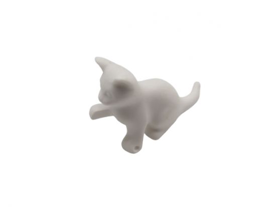 Katzenjunges sitzend Katzenjunges sitzend