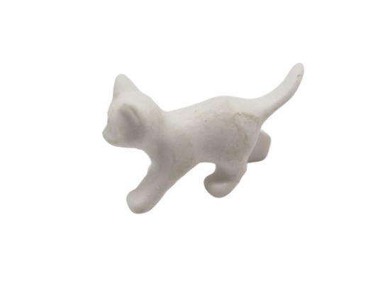 Katzenjunges stehend Katzenjunges stehend