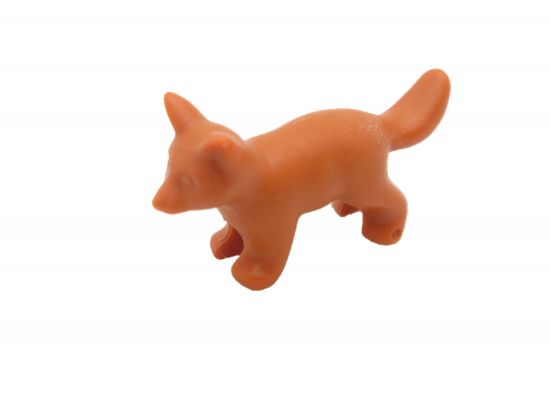 Fuchs Welpe stehend Fuchs Welpe stehend