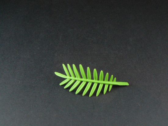 Palmenblatt Palmenblatt