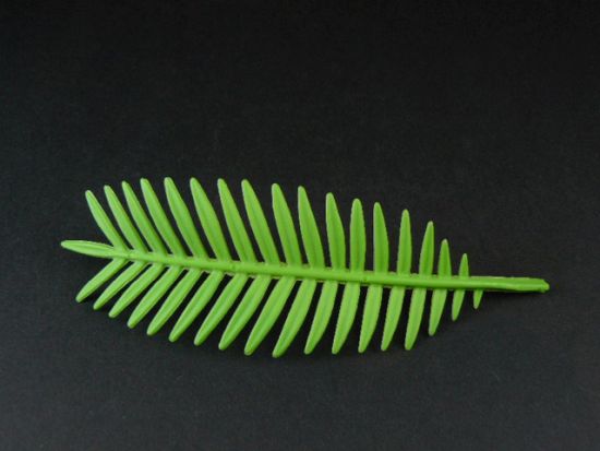 Palmenblatt Palmenblatt