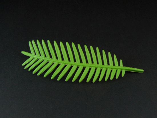 Palmenblatt Palmenblatt