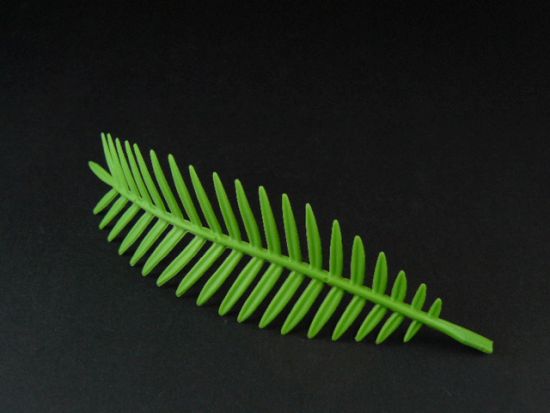 Palmenblatt Palmenblatt