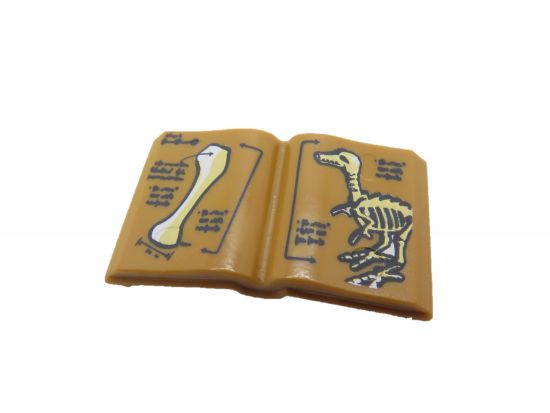 Buch offen Ausgrabung Buch offen Ausgrabung