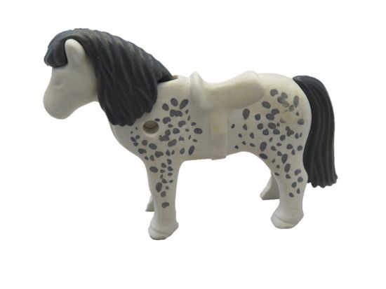 Pony Shetland Pony Shetland