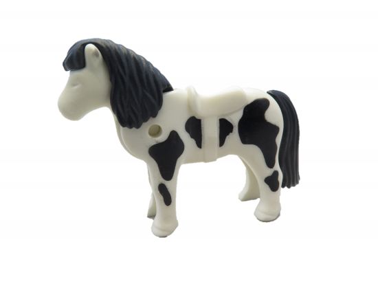 Pony Shetland Pony Shetland