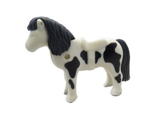 Pony Shetland Pony Shetland