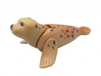 Seehund Robbe Seehund Robbe