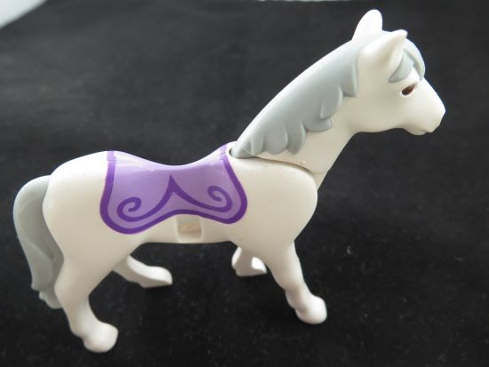 Pferd Zirkus Pferd Zirkus