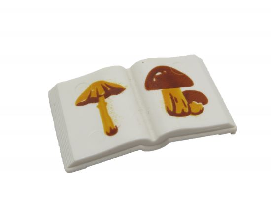 Buch offen Buch offen