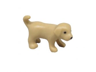 Hund Welpe Golden Retriever Hund Welpe Golden Retriever