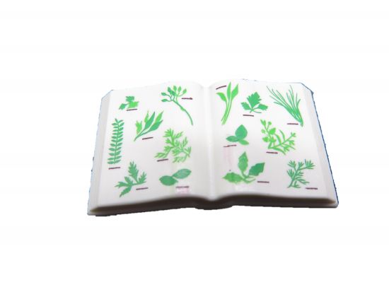 Buch offen Naturkunde Buch offen Naturkunde