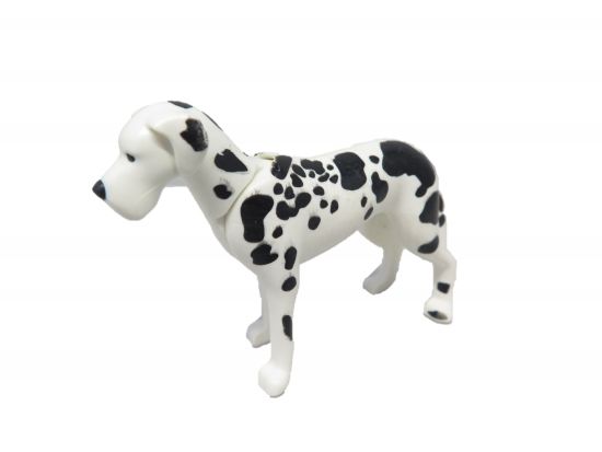 Hund Dogge Hund Dogge