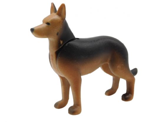 Hund Schäferhund Hund Schäferhund