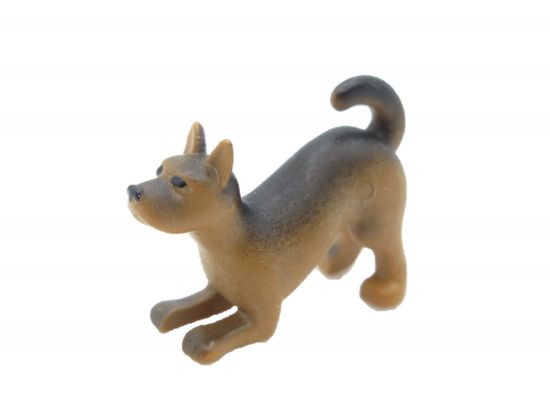 Hund deutsche Schäferhund Welpe Hund deutsche Schäferhund Welpe