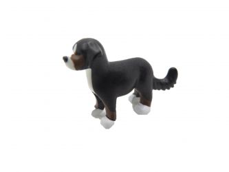 Hund Welpe Bernersenn Hund Welpe Bernersenn