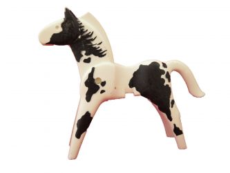 Pferd Western Pferd Western