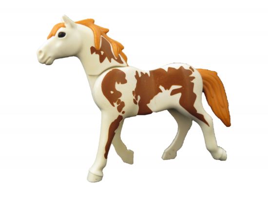 Pferd Haflinger Pferd Haflinger