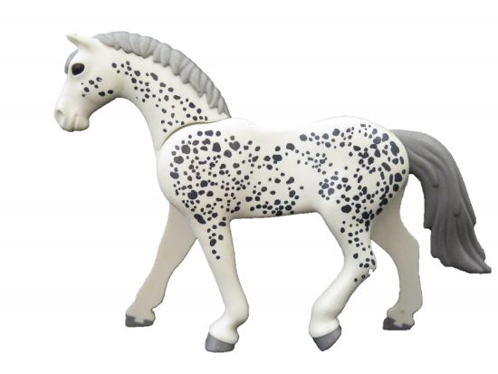 Pferd Trakehner Pferd Trakehner