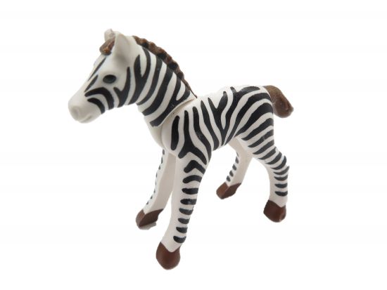 Zebra klein Zebra klein