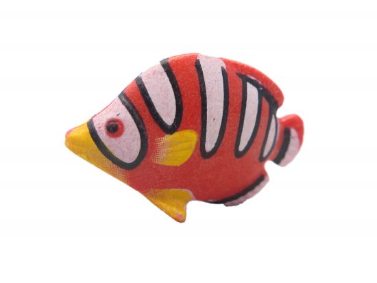 Fisch Schmetteringsfisch Fisch Schmetteringsfisch