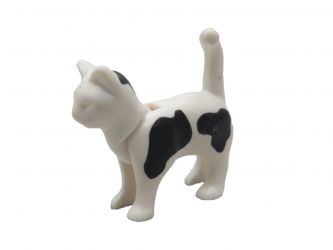 Katze stehend Katze stehend