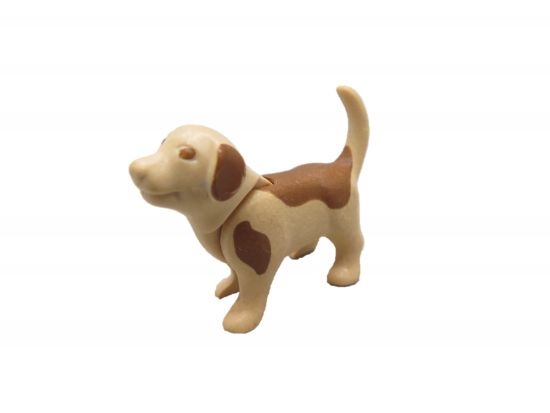 Hundewelpe Hundewelpe