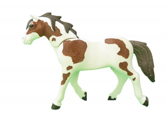 Pferd Haflinger Pferd Haflinger