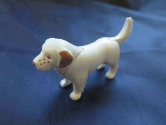 Hund Hund