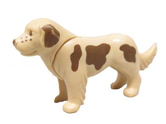 Hund Bernersenn Hund Bernersenn