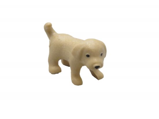 Welpe Hund Welpe Hund