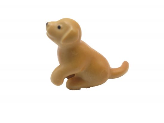 Hund Welpe Golden Retriever Hund Welpe Golden Retriever