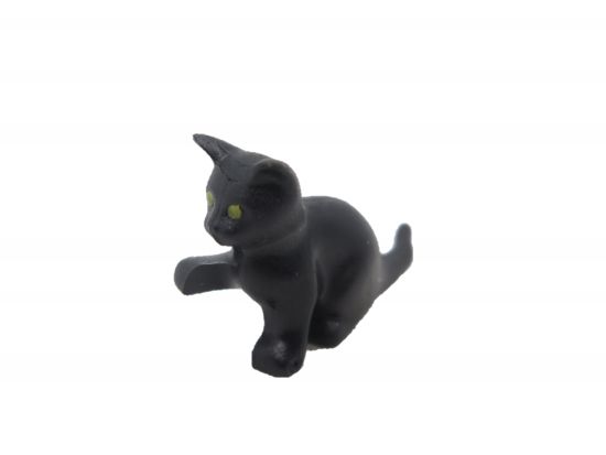 Katze Baby sitzend Katze Baby sitzend