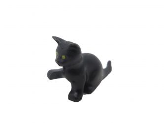 Katze Baby sitzend Katze Baby sitzend