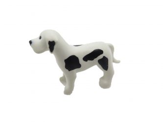 Hund Jung klein Dogge Hund Jung klein Dogge