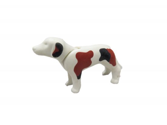 Hund Beagle Hund Beagle