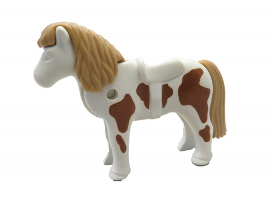 Pony Shetland Pony Shetland