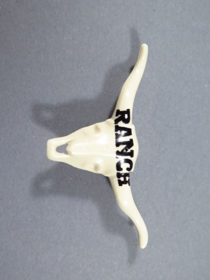 Skelettkopf Skelettkopf