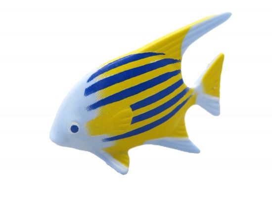 Fisch Spatenfisch Fisch Spatenfisch