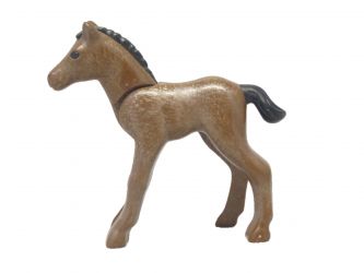 Pferd Fohlen Pferd Fohlen